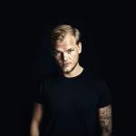 artist image Avicii Sunset Jesus Stories (UK Version)