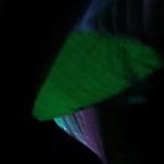 artist image Tereyaki boys Tokio Drift The Fast and the Furious: Tokyo Drift - Single