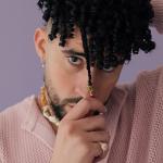 artist image AudioCutter_Bad Bunny La Romana (feat. El Alfa) X 100PRE