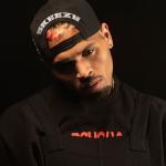 artist image Chris Brown, Young Thug City Girls Slime & B