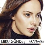 album image Bir Devir Bitti 2017 Araftayım