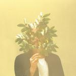 album image Skyline French Kiwi Juice