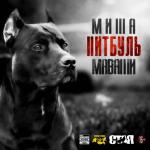 album image Бегал волк, да в лес глядел Питбуль