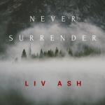 album image Never Surrender Never Surrender - Single