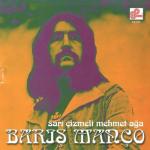 album image Yine Yol Gorundu Gurbete Sarı Çizmeli Mehmet Ağa