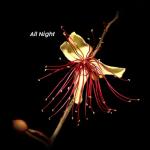 album image Mi Gna All Night - EP