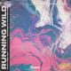 MVCA & Ben Cina - Running Wild