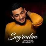 album image Sog'indim Sog'indim - Single