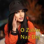 album image O Zalim (Muzaf.net) O Zalim - Single