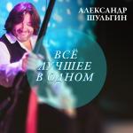 poster С новым годом (Финал 2008) Александр Шульгин. Всё лучшее в одном