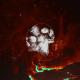 ENSKA, SINTT - Spitfire